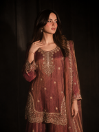 Rust raw silk fabric texture and natural slub, ILARA occasion wear
